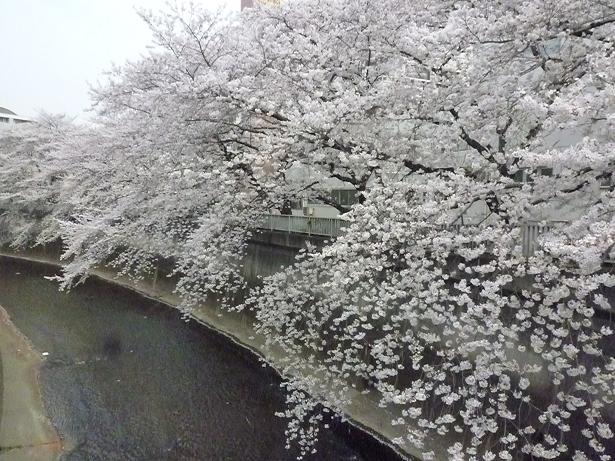 c0123890_20195972.jpg