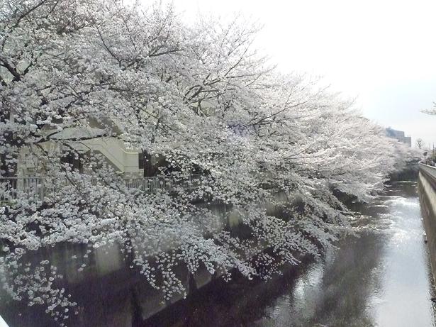c0123890_20201151.jpg