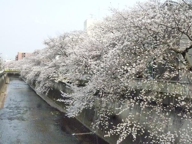 c0123890_20201717.jpg