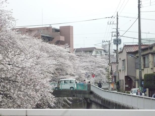 c0123890_2020533.jpg