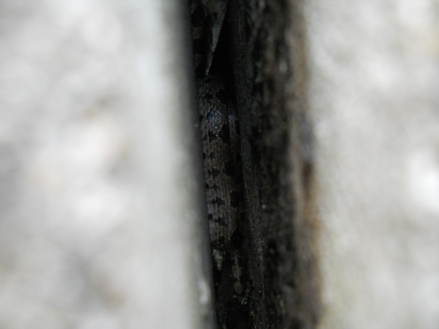 e0296490_15361598.jpg