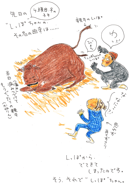 f0236291_613288.gif