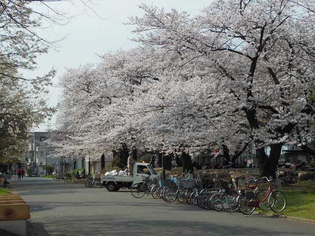 b0120492_1348096.jpg