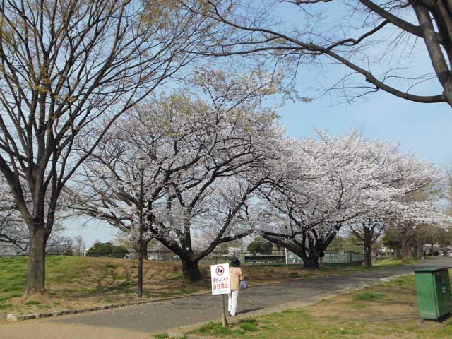 b0120492_13494384.jpg