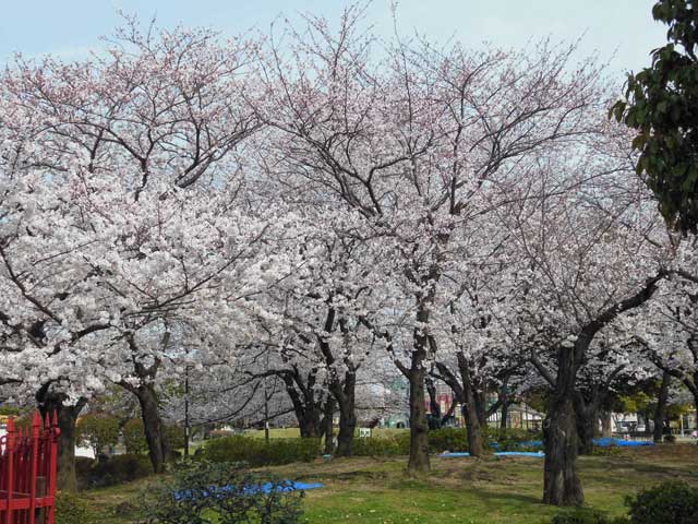 b0120492_13533025.jpg