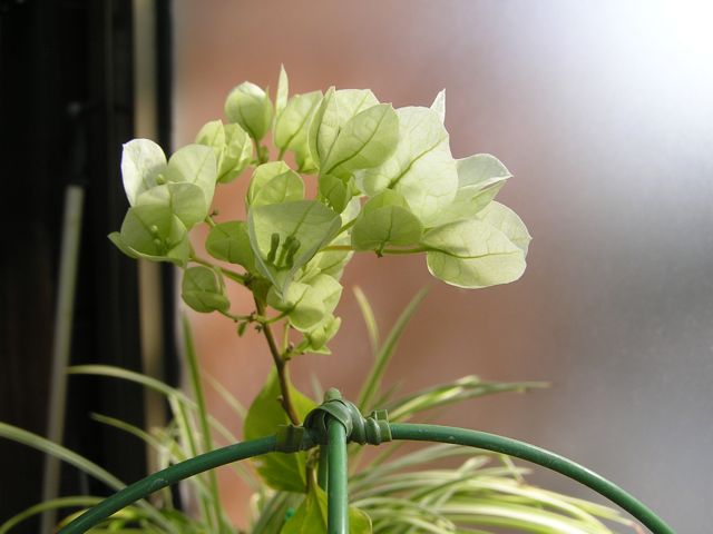 f0130894_21163141.jpg