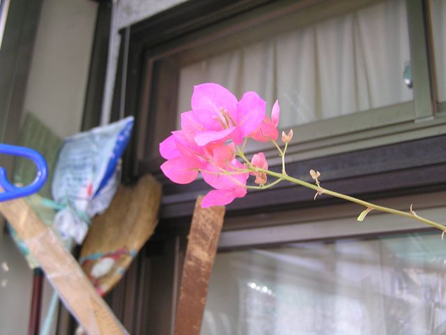 f0130894_21164100.jpg