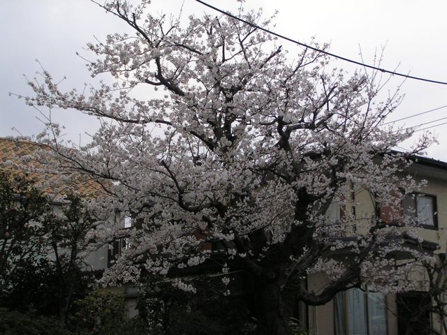 f0130894_21185742.jpg