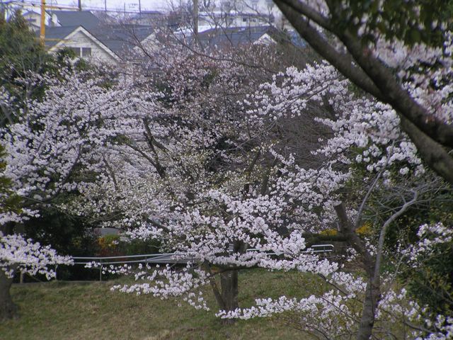 f0130894_21214990.jpg