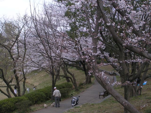 f0130894_2121587.jpg