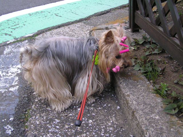 f0130894_2123924.jpg