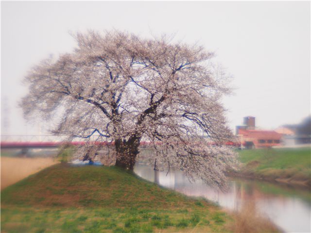 f0224100_23355956.jpg