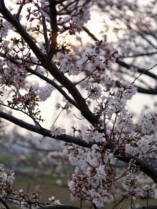 c0187503_2047910.jpg