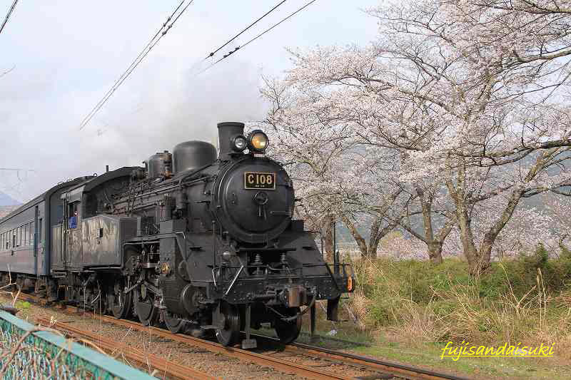 a0188405_20293046.jpg