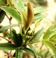 e0098908_19324649.jpg
