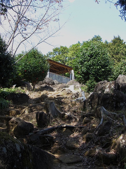 d0154609_17312162.jpg