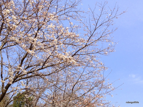 c0199829_16182125.jpg