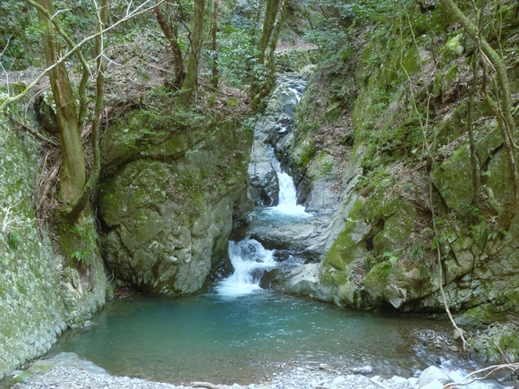 e0033229_22313421.jpg