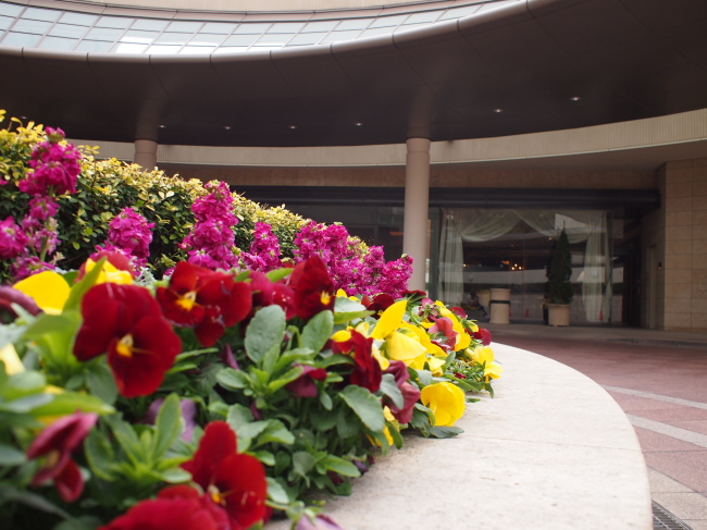 c0117831_20131541.jpg