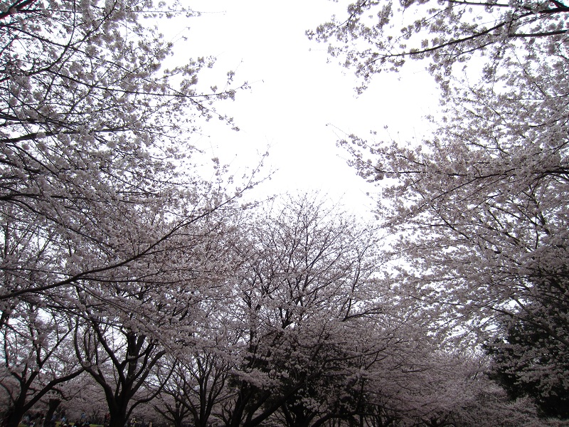 f0002833_22292926.jpg