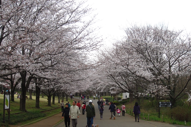 f0002833_22294595.jpg