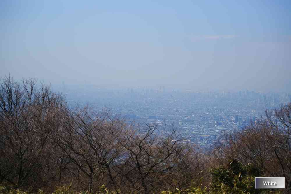 c0227134_742135.jpg