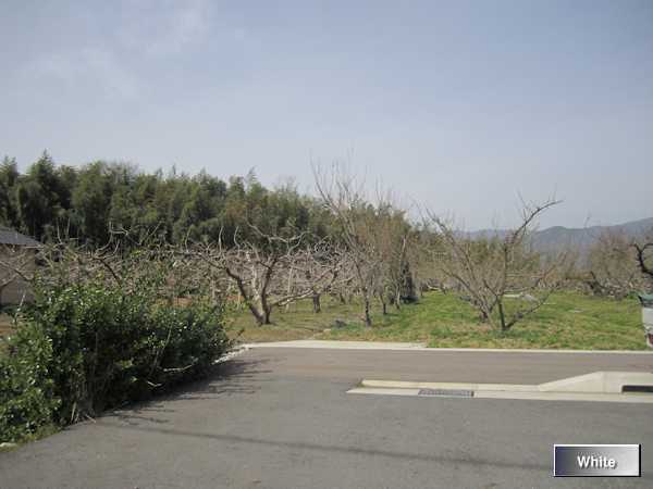 c0227134_7465153.jpg