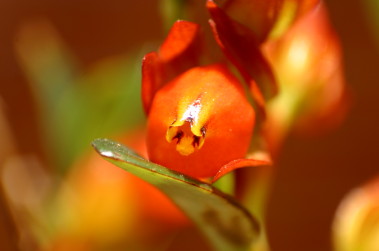 d0241937_1434422.jpg