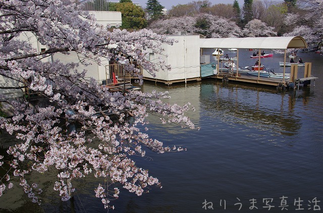 a0009142_18344186.jpg