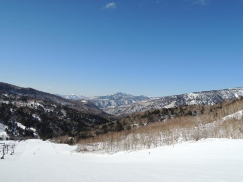 d0142944_11183039.jpg