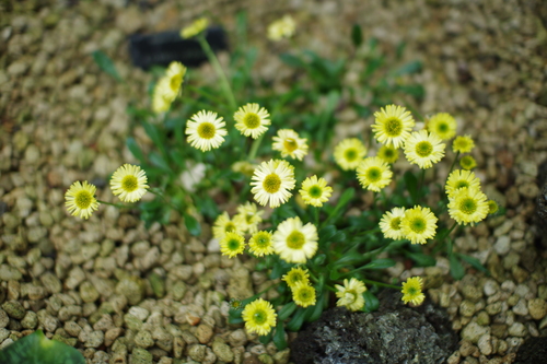 a0299749_204704.jpg