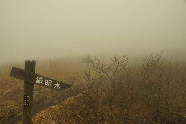 f0214649_17111782.jpg