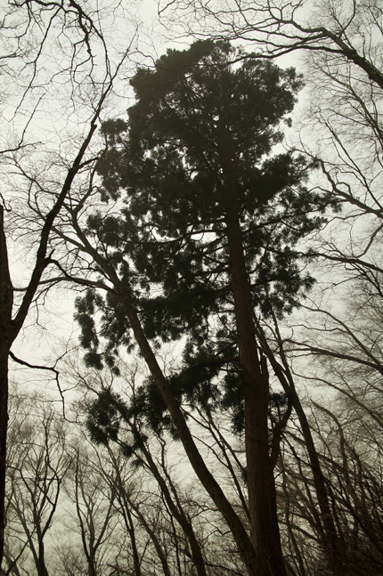 f0214649_17261863.jpg