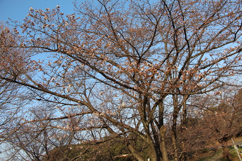 f0245650_2352514.jpg