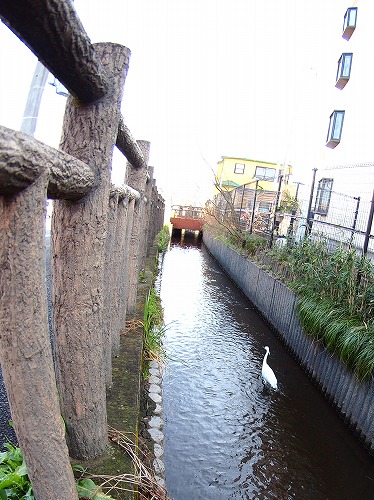 b0180764_23563791.jpg