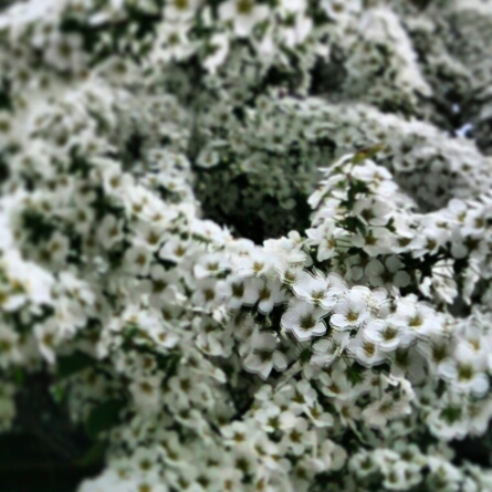 f0146466_87249.jpg