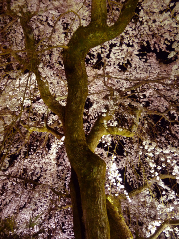 e0165472_20273446.jpg