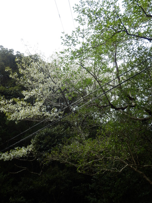 e0292172_2023587.jpg