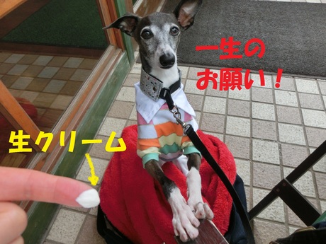 f0223972_975823.jpg