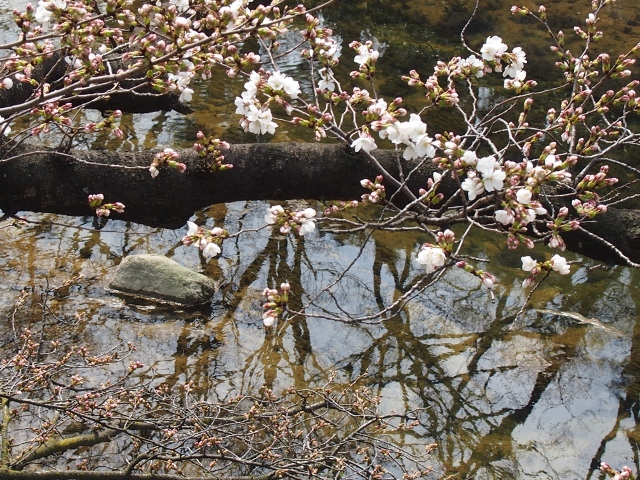 f0200373_21345253.jpg