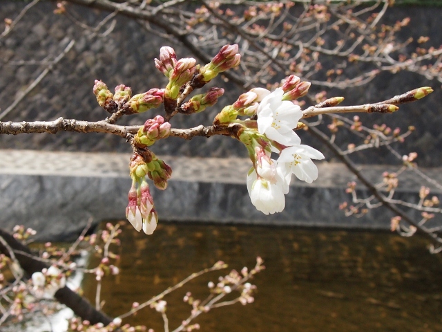 f0200373_2135562.jpg