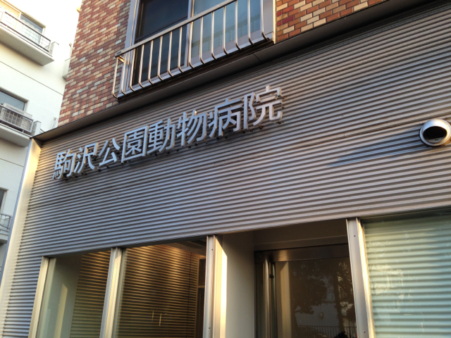 c0268774_1115528.jpg