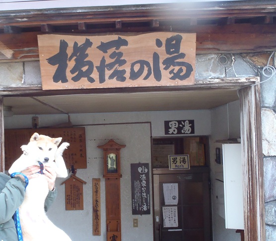 f0230777_101256.jpg