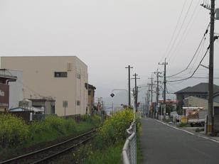 e0130185_1725397.jpg