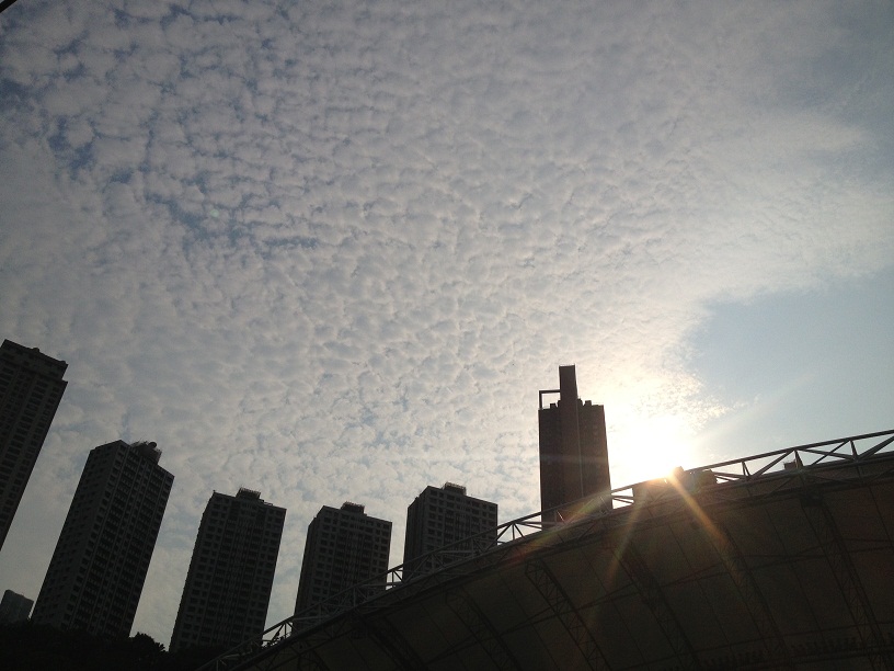 a0225690_16564440.jpg