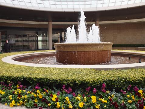 c0028792_22544722.jpg