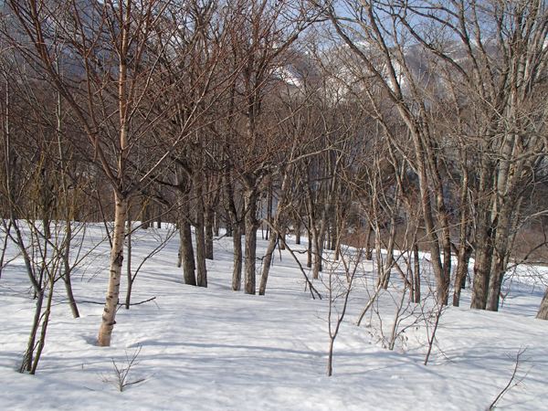 a0043193_1812846.jpg