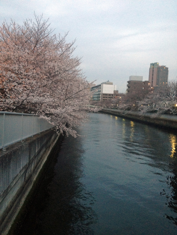 c0211194_1950263.jpg
