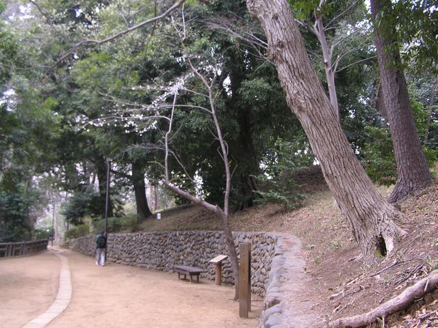 f0130894_21291453.jpg