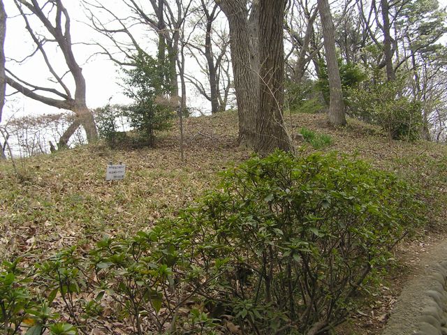 f0130894_21294882.jpg